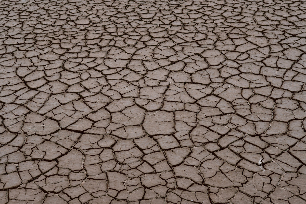 Dry, cracked beigh clay earth